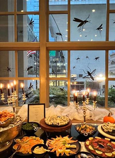 A dining table with a buffet laid out in front of a window decorated with large insect shapes